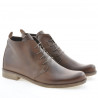 Herrenstiefel 412 braun
